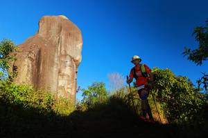 BIB: 
                            <button type="button" onclick="openModal(19077374)" class="btn btn-primary btn-sm float-right btn-popup" data-toggle="modal" data-target=".modal-high-quality">
                        <i class="fas fa-shopping-cart"></i> Add to Cart
                    </button>
                                            <button type="button" onclick="isThisMe(19077374, true)" class="btn btn-success btn-sm float-right btn-popup btn-isme hidden" data-toggle="tooltip" data-placement="bottom" title="นี่คือรูปของคุณใช่ไหม คลิกที่นี่เพื่อเอาเข้าอัลบั้ม">
                        <i class="fas fa-plus"></i> Add to album
                    </button>
                    <button type="button" onclick="isThisMe(19077374, false)" class="btn btn-warning btn-sm float-right btn-popup btn-isnotme hidden">
                        <i class="fas fa-ban"></i> Remove from album
                    </button>